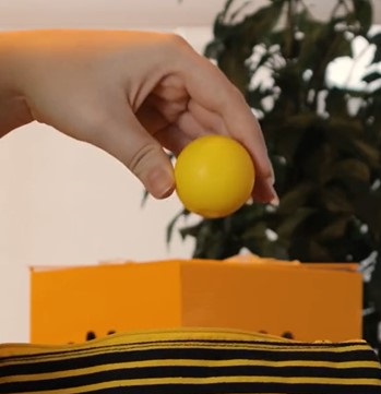 Parceria entre FreeBrands e Nomad traz experiência inovadora para viajantes