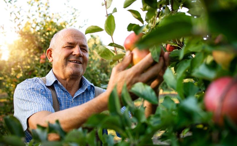 Cooperativas fortalecem o agronegócio goiano