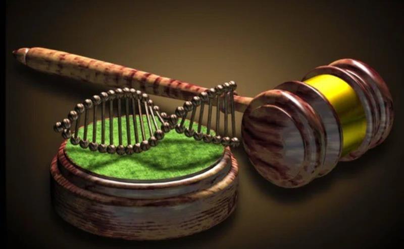 O que realmente faz uma família existir perante a Justiça? O afeto passou a ter tanto peso quanto o vínculo biológico