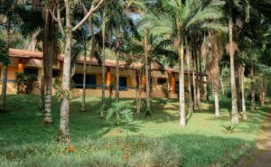 Primavera ganha experiências de bem-estar em parceria entre L’Occitane au Brésil e Matiz Igaratá Resort Spa & Eventos